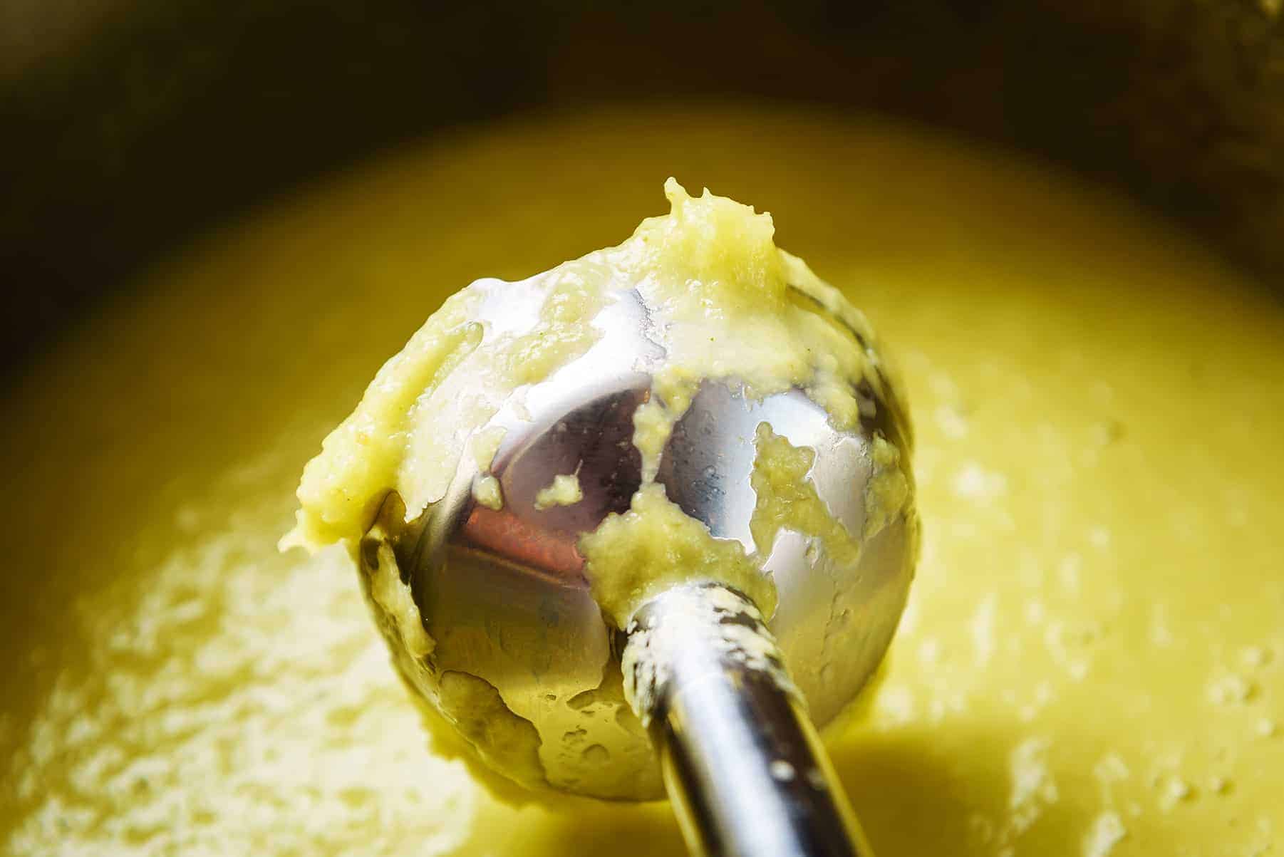 Blender with stringy bits of celery
