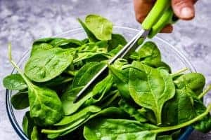 Cutting spinach with scissors
